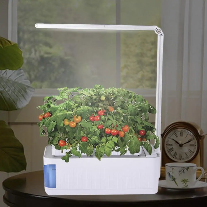 Hydroponic Indoor Herb Garden